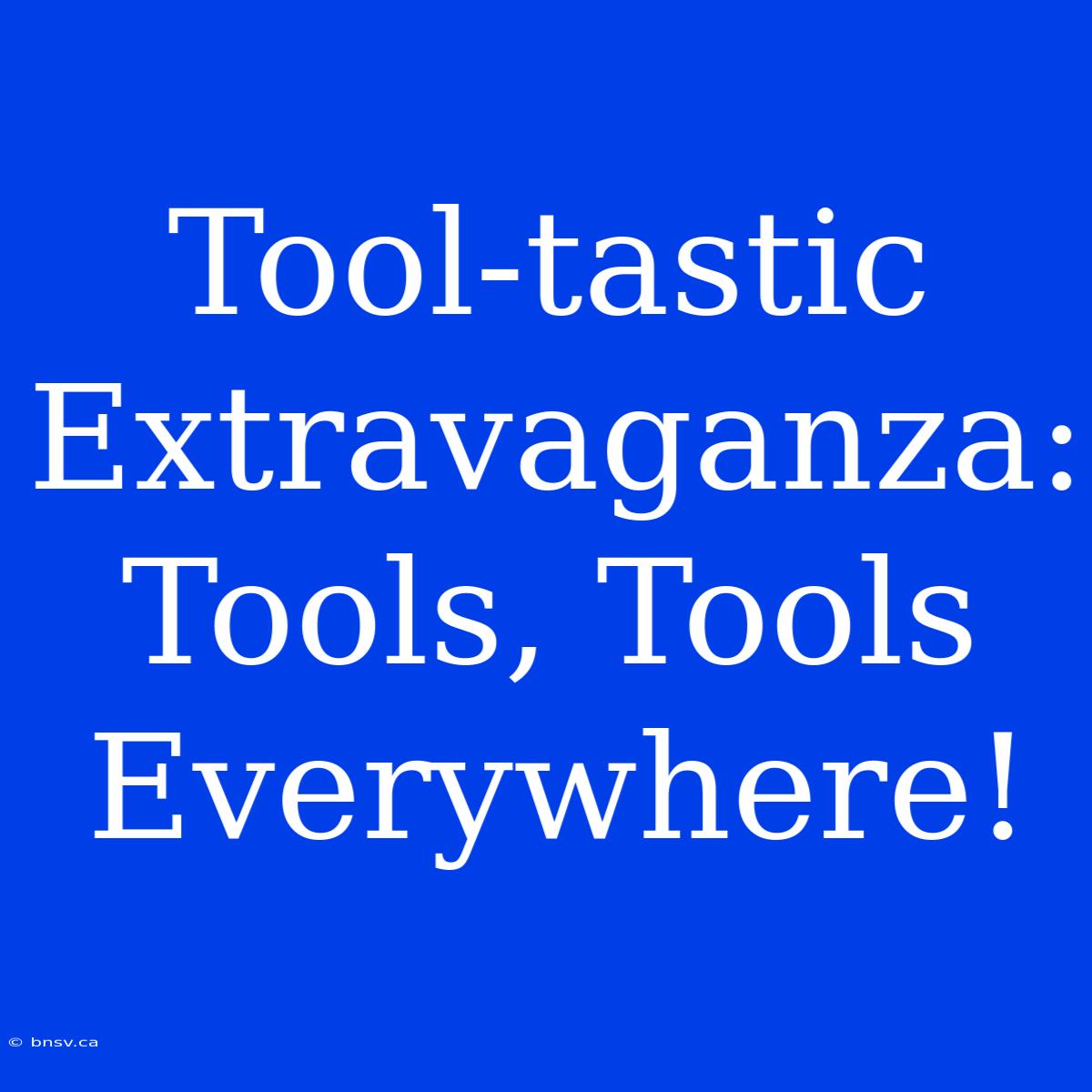 Tool-tastic Extravaganza: Tools, Tools Everywhere!