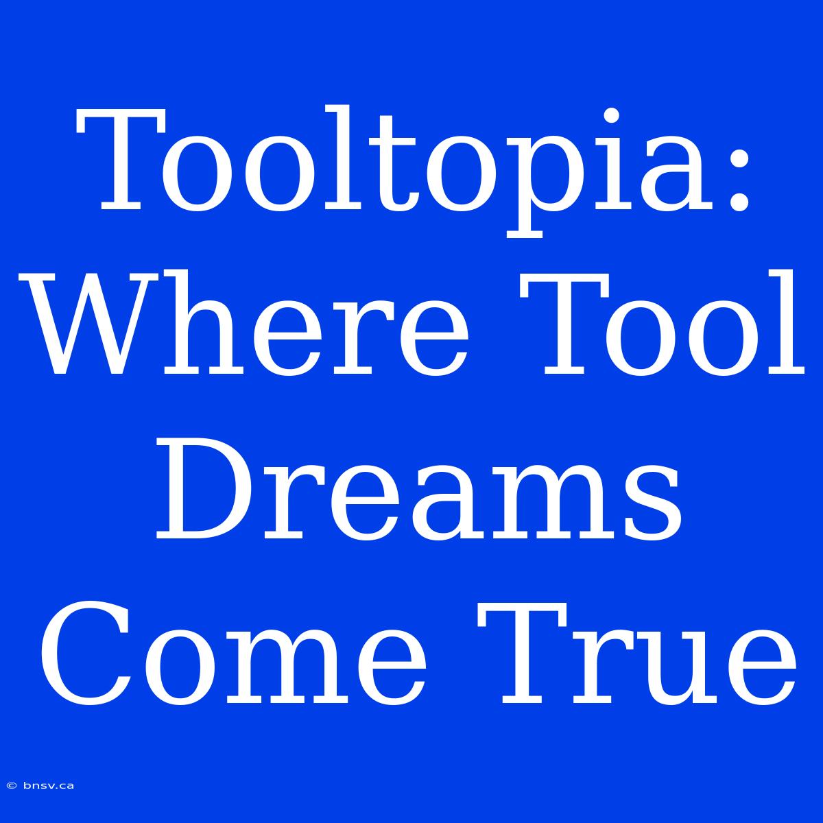 Tooltopia: Where Tool Dreams Come True