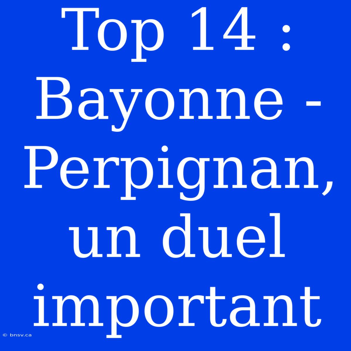 Top 14 : Bayonne - Perpignan, Un Duel Important