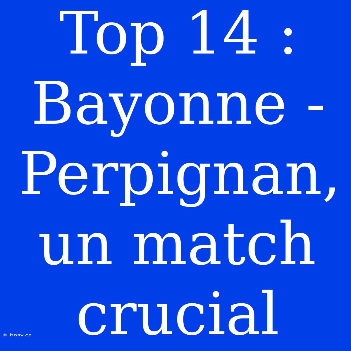 Top 14 : Bayonne - Perpignan, Un Match Crucial