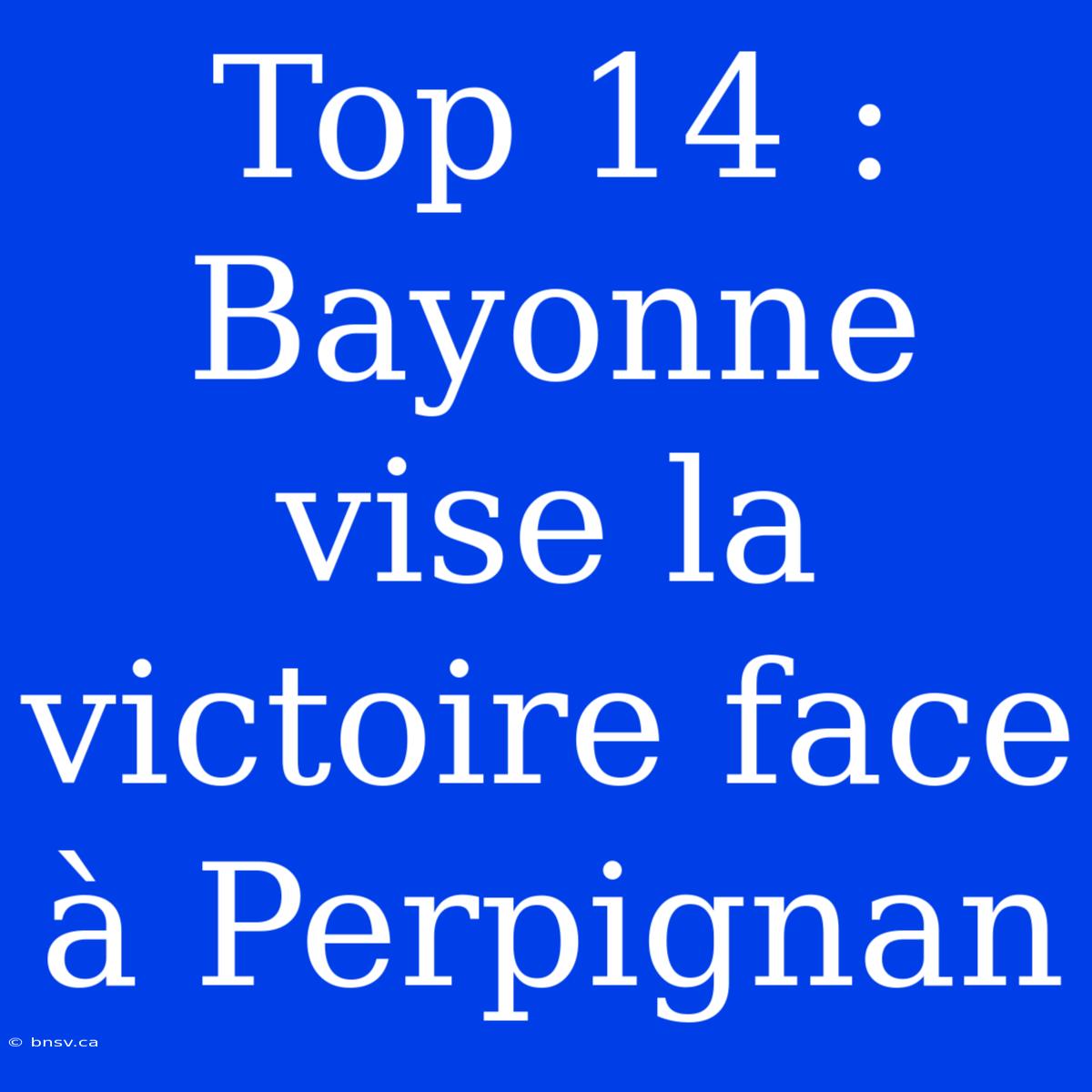 Top 14 : Bayonne Vise La Victoire Face À Perpignan