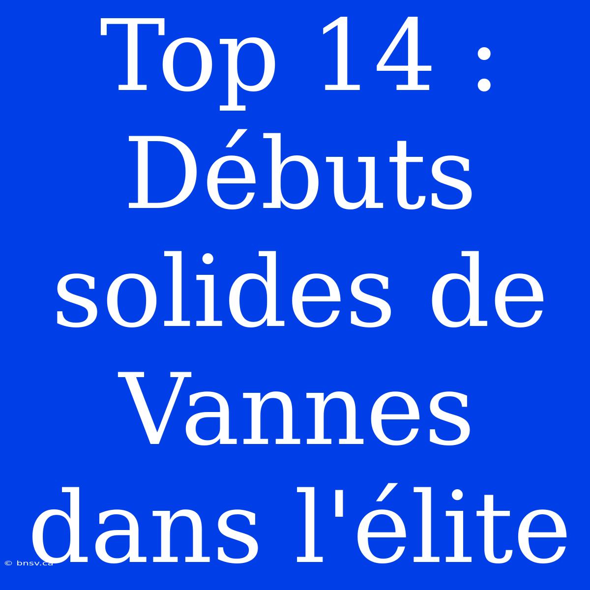 Top 14 : Débuts Solides De Vannes Dans L'élite