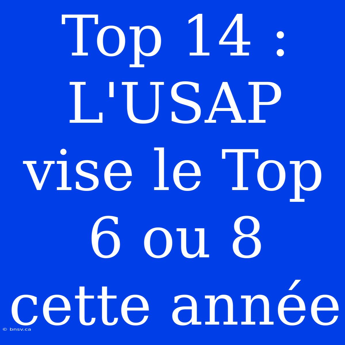 Top 14 :  L'USAP Vise Le Top 6 Ou 8 Cette Année