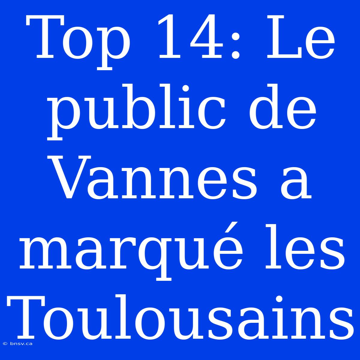 Top 14: Le Public De Vannes A Marqué Les Toulousains