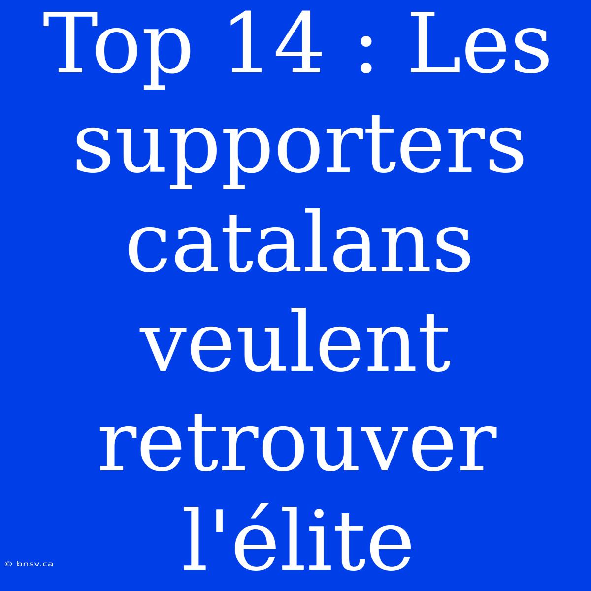 Top 14 : Les Supporters Catalans Veulent Retrouver L'élite