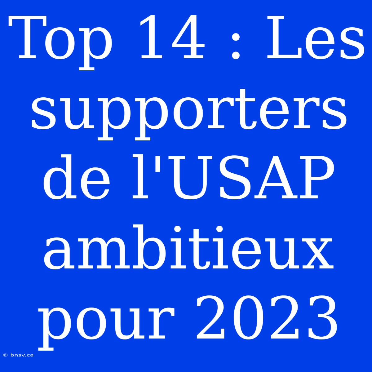 Top 14 : Les Supporters De L'USAP Ambitieux Pour 2023