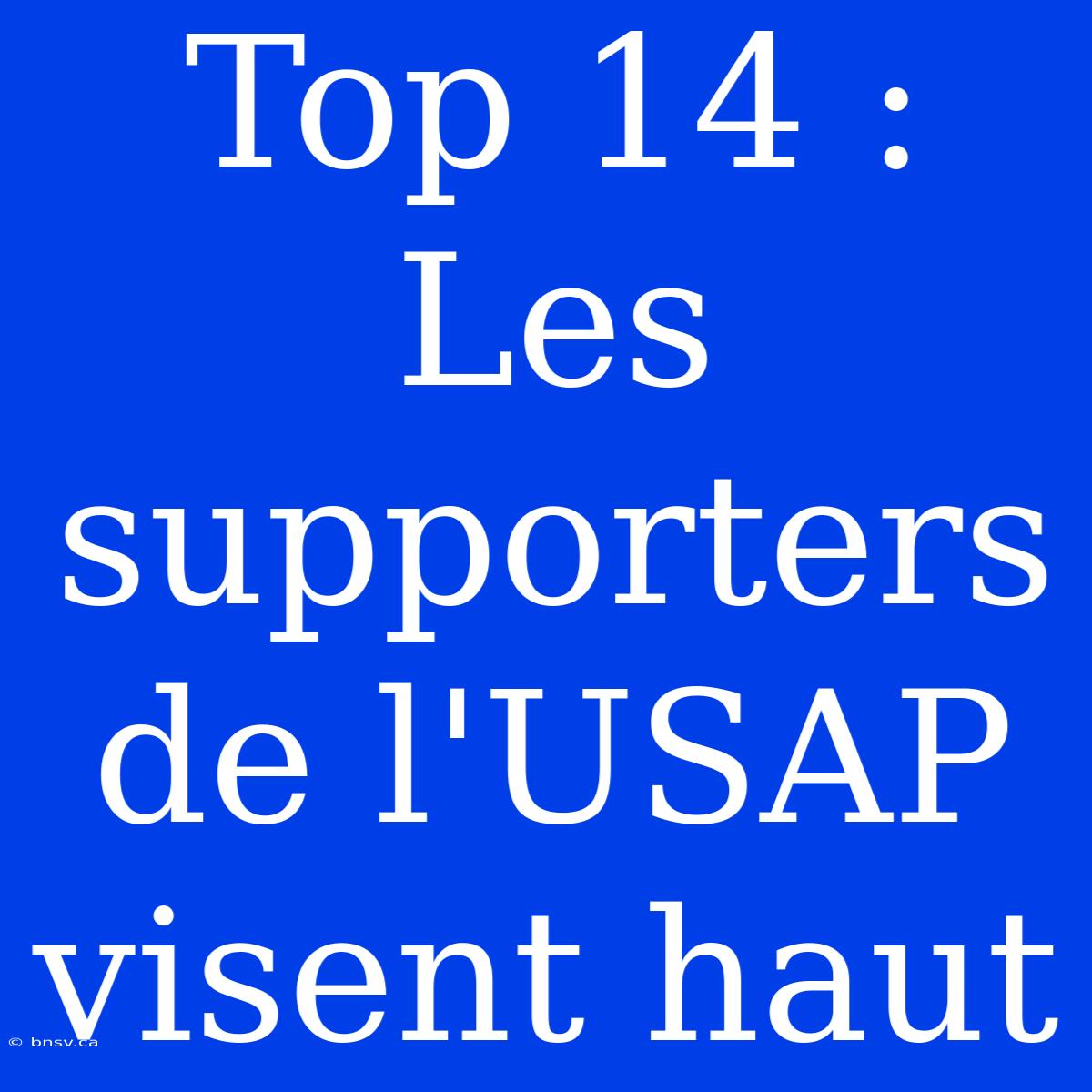 Top 14 : Les Supporters De L'USAP Visent Haut