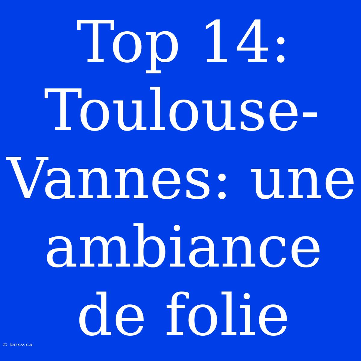 Top 14:  Toulouse-Vannes: Une Ambiance De Folie