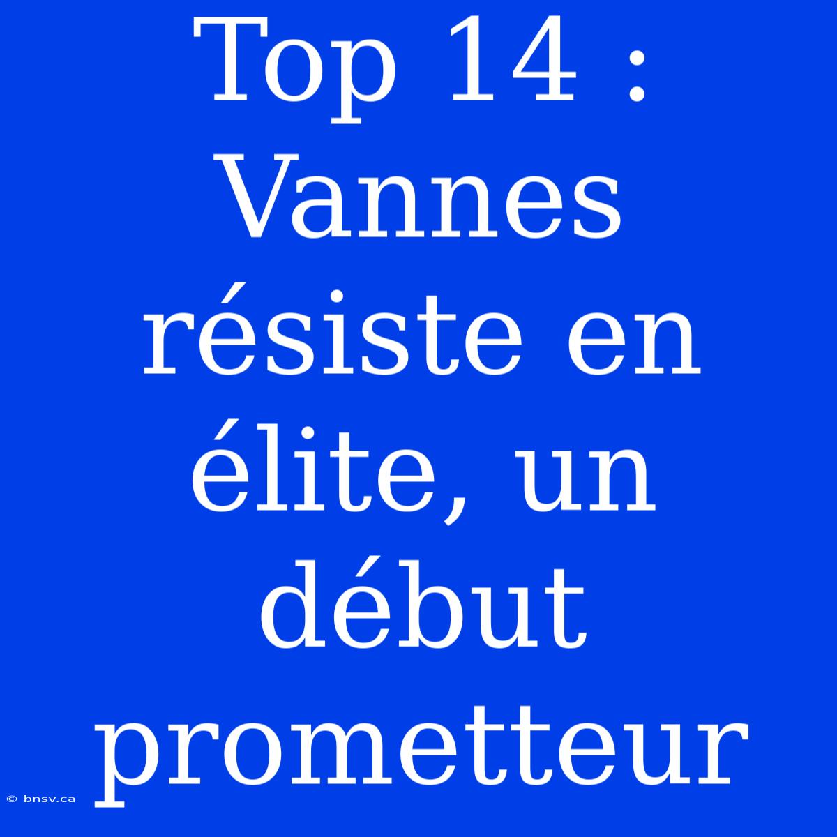 Top 14 : Vannes Résiste En Élite, Un Début Prometteur