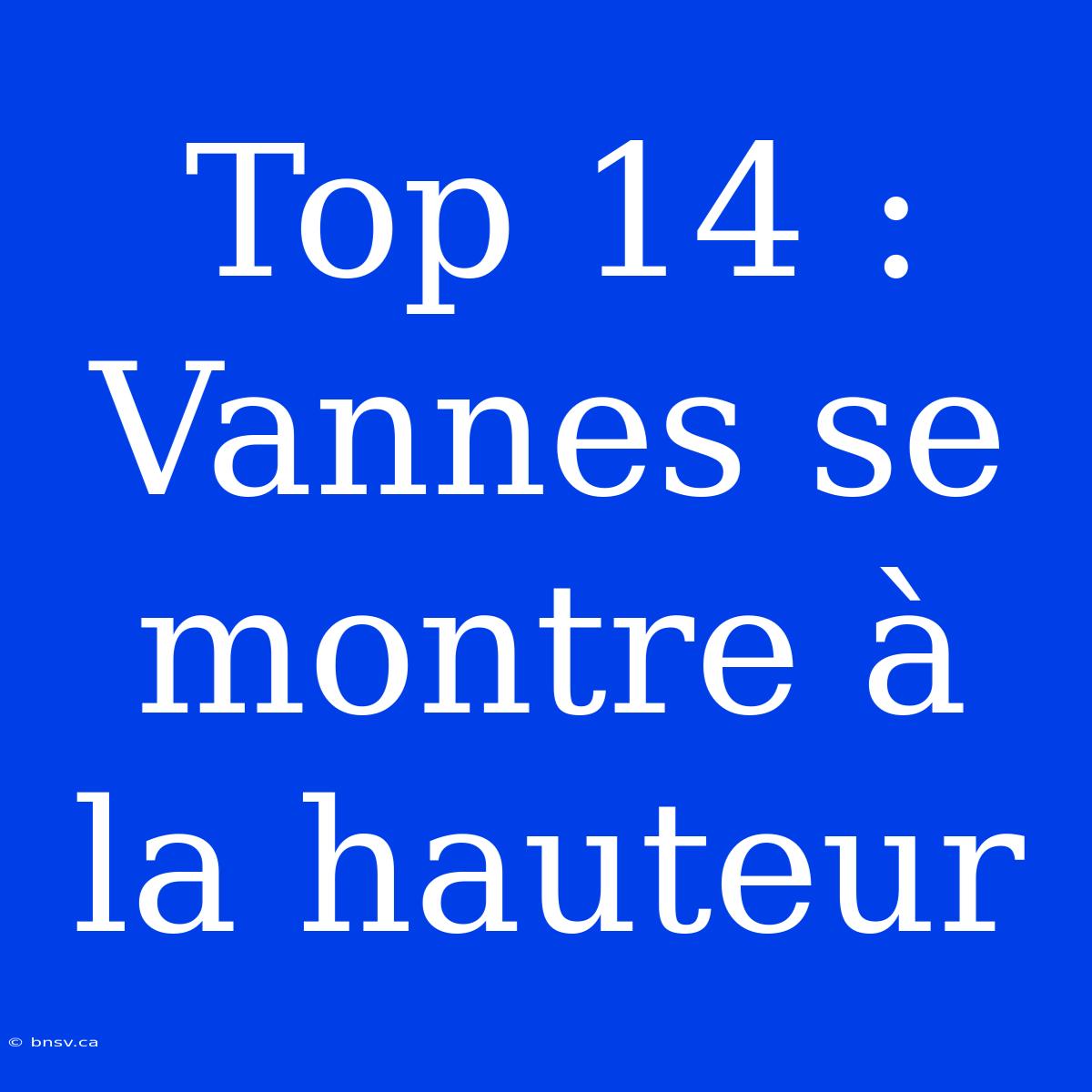 Top 14 : Vannes Se Montre À La Hauteur