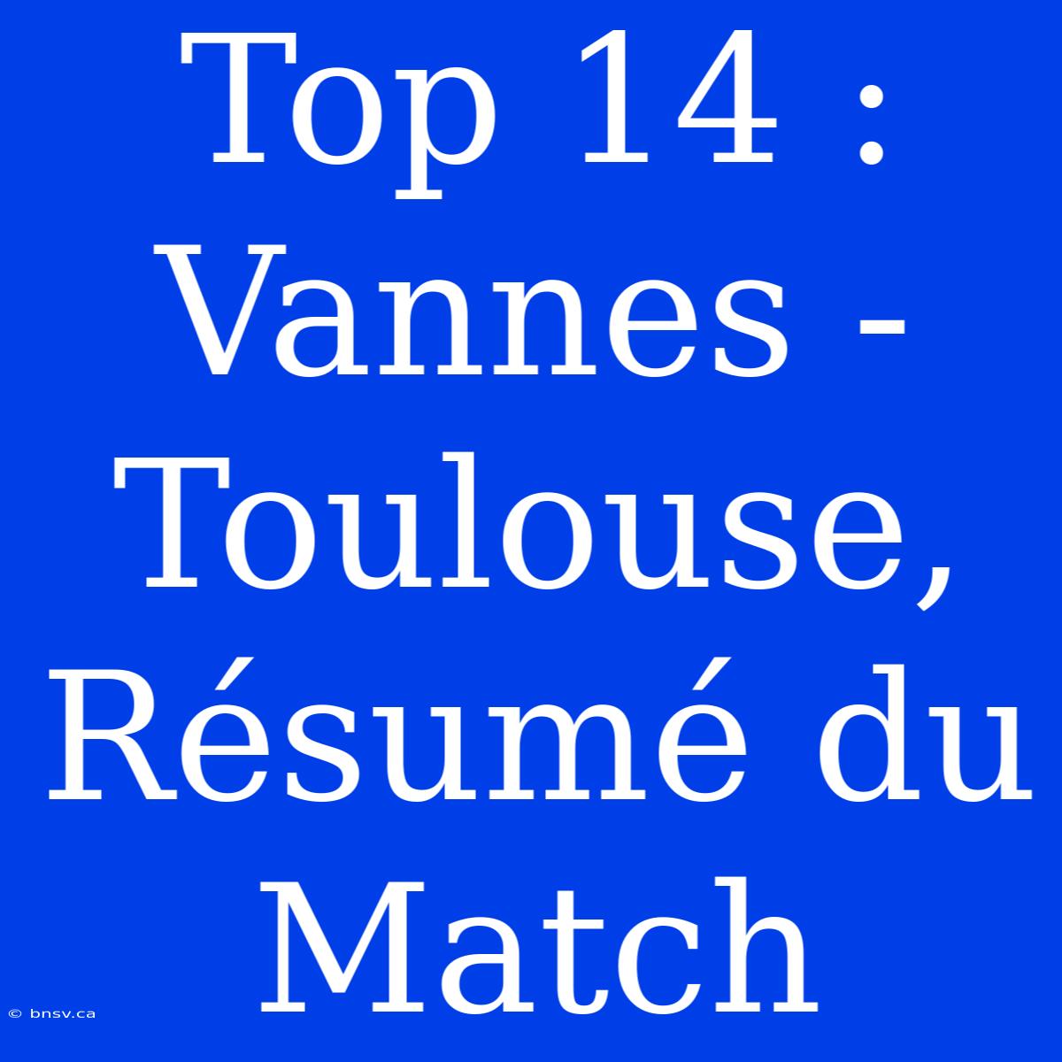 Top 14 : Vannes - Toulouse, Résumé Du Match