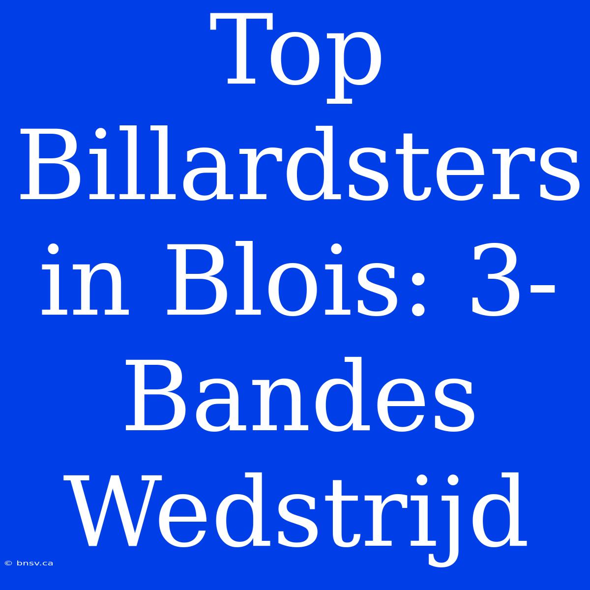 Top Billardsters In Blois: 3-Bandes Wedstrijd