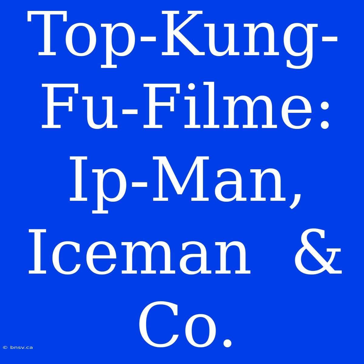 Top-Kung-Fu-Filme:  Ip-Man, Iceman  &  Co.