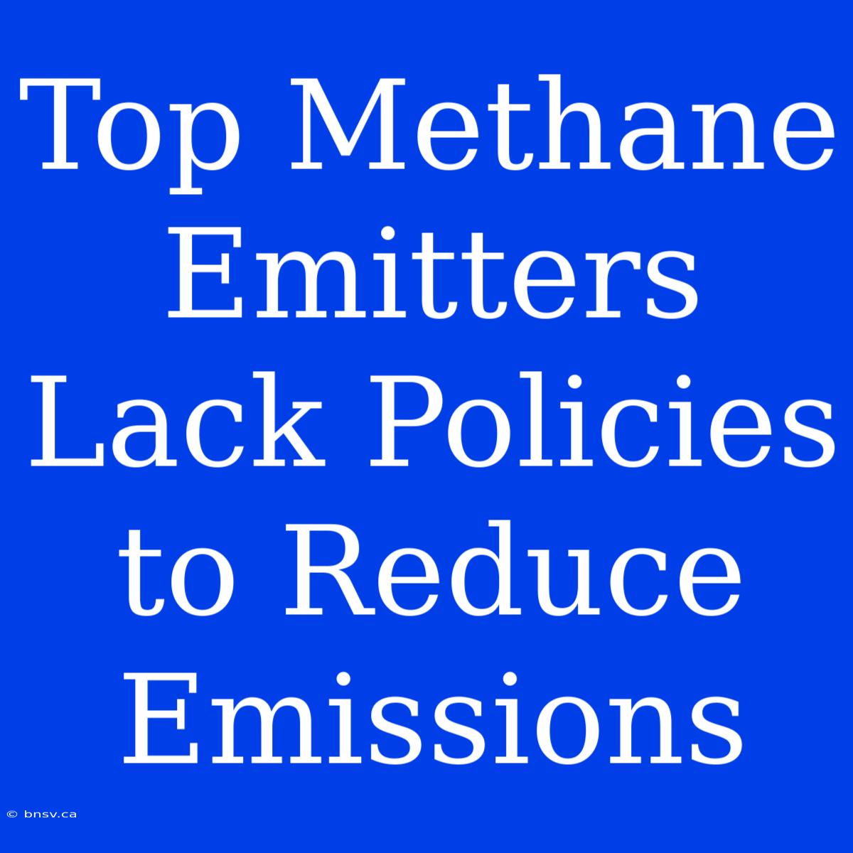 Top Methane Emitters Lack Policies To Reduce Emissions