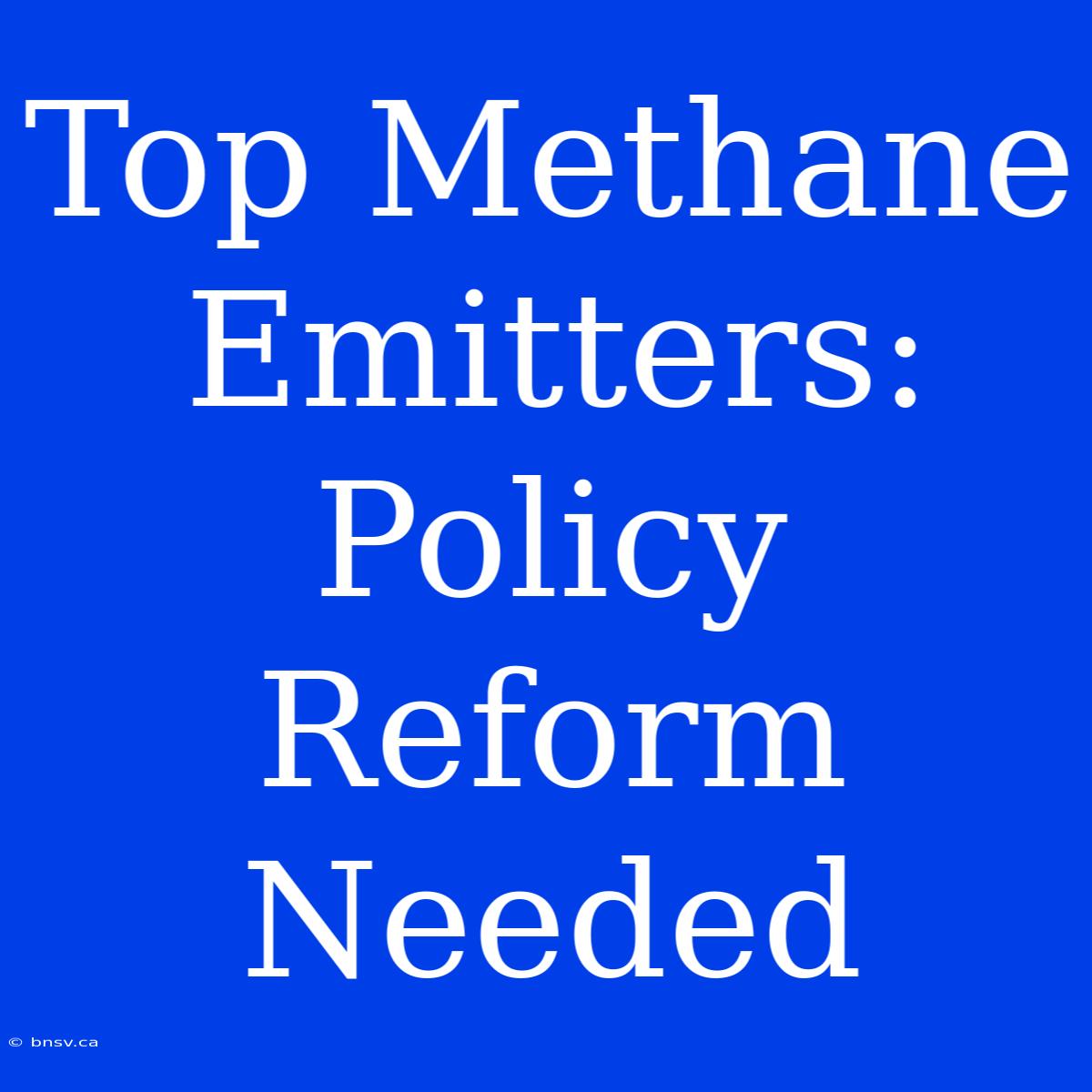 Top Methane Emitters: Policy Reform Needed