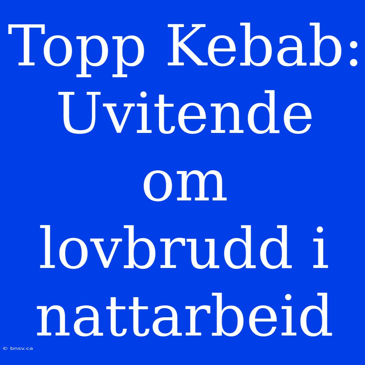 Topp Kebab: Uvitende Om Lovbrudd I Nattarbeid