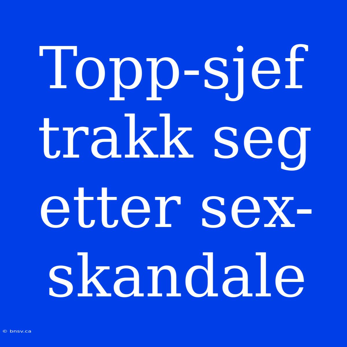 Topp-sjef Trakk Seg Etter Sex-skandale