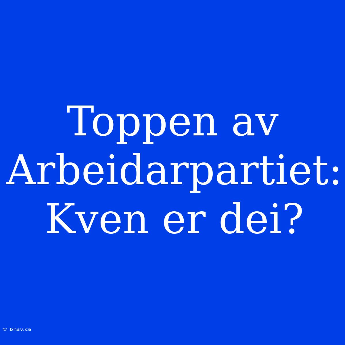 Toppen Av Arbeidarpartiet: Kven Er Dei?