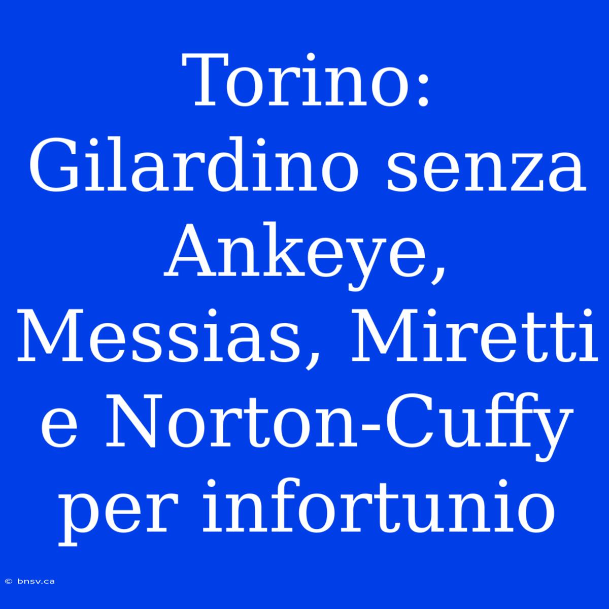 Torino: Gilardino Senza Ankeye, Messias, Miretti E Norton-Cuffy Per Infortunio