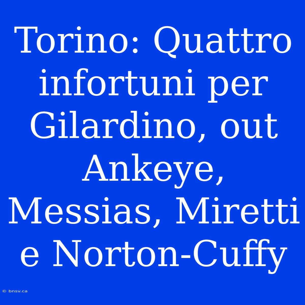 Torino: Quattro Infortuni Per Gilardino, Out Ankeye, Messias, Miretti E Norton-Cuffy