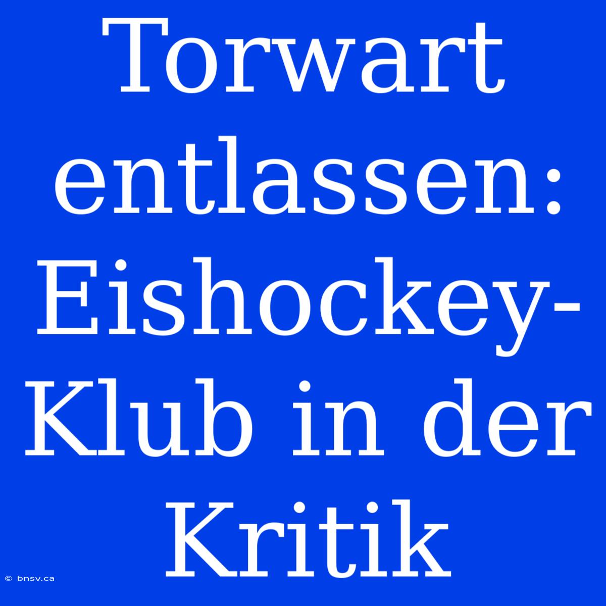 Torwart Entlassen: Eishockey-Klub In Der Kritik