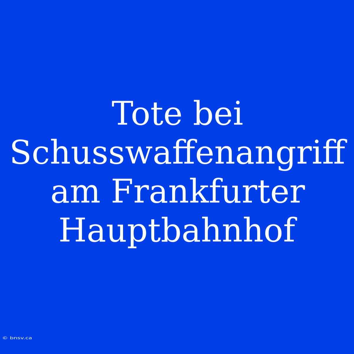 Tote Bei Schusswaffenangriff Am Frankfurter Hauptbahnhof