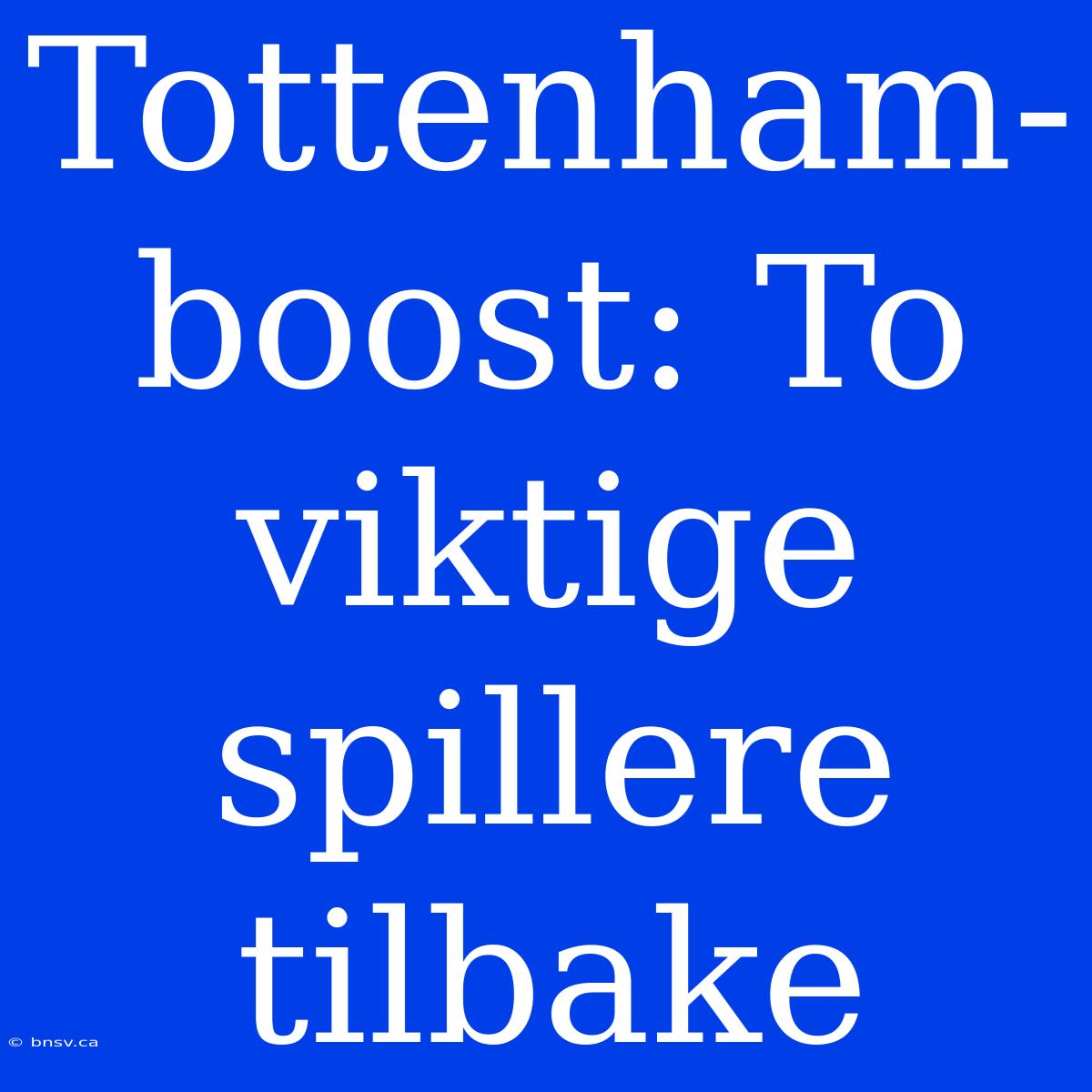 Tottenham-boost: To Viktige Spillere Tilbake