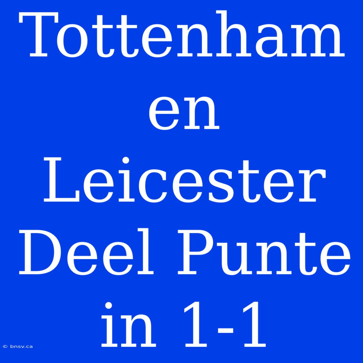 Tottenham En Leicester Deel Punte In 1-1