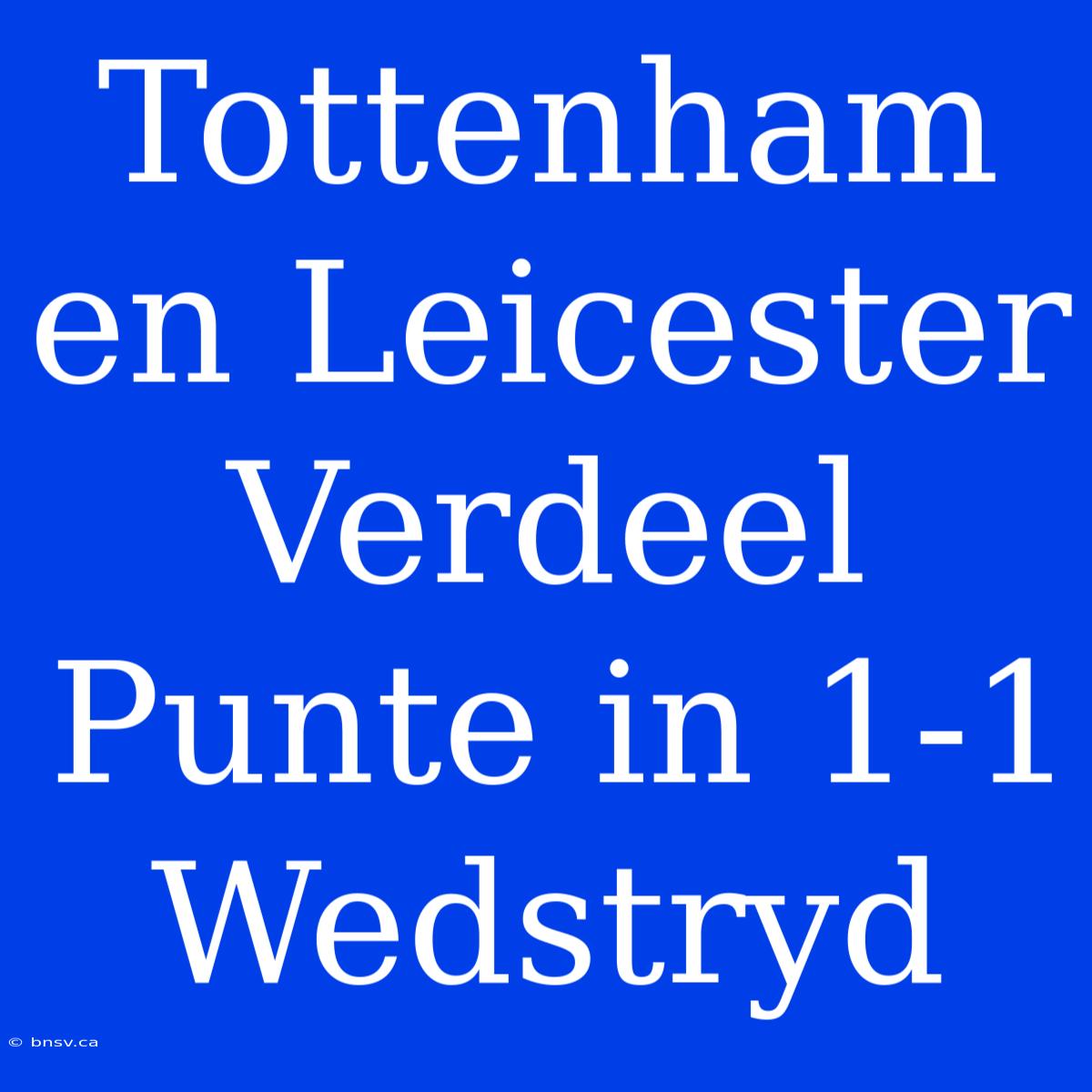 Tottenham En Leicester Verdeel Punte In 1-1 Wedstryd