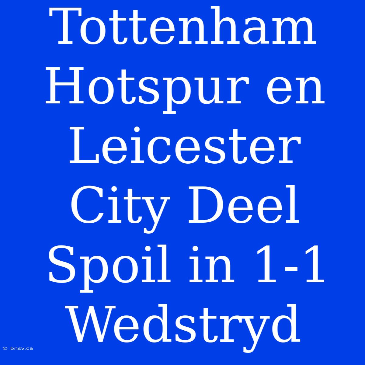 Tottenham Hotspur En Leicester City Deel Spoil In 1-1 Wedstryd