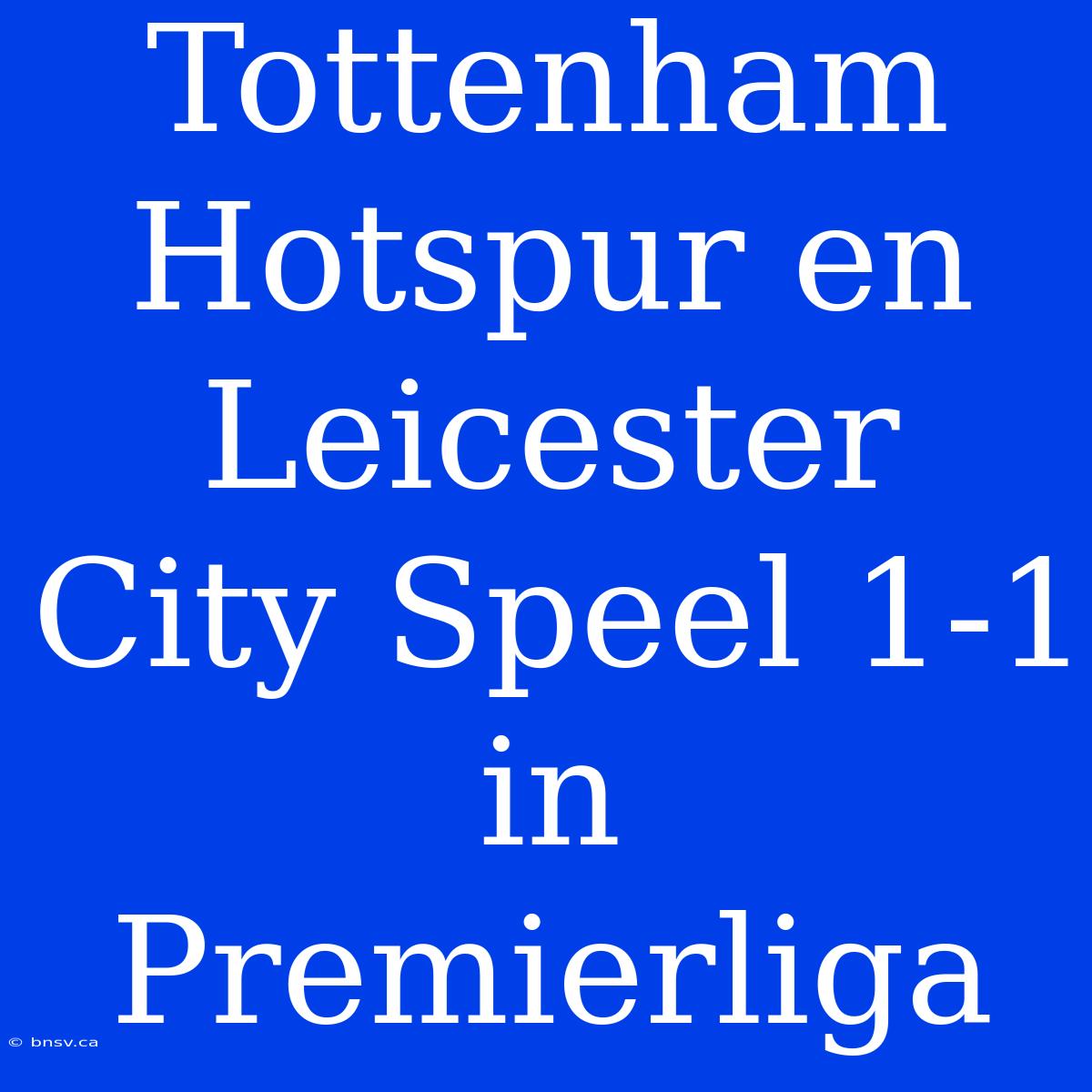 Tottenham Hotspur En Leicester City Speel 1-1 In Premierliga