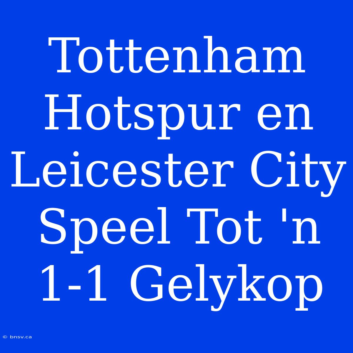 Tottenham Hotspur En Leicester City Speel Tot 'n 1-1 Gelykop