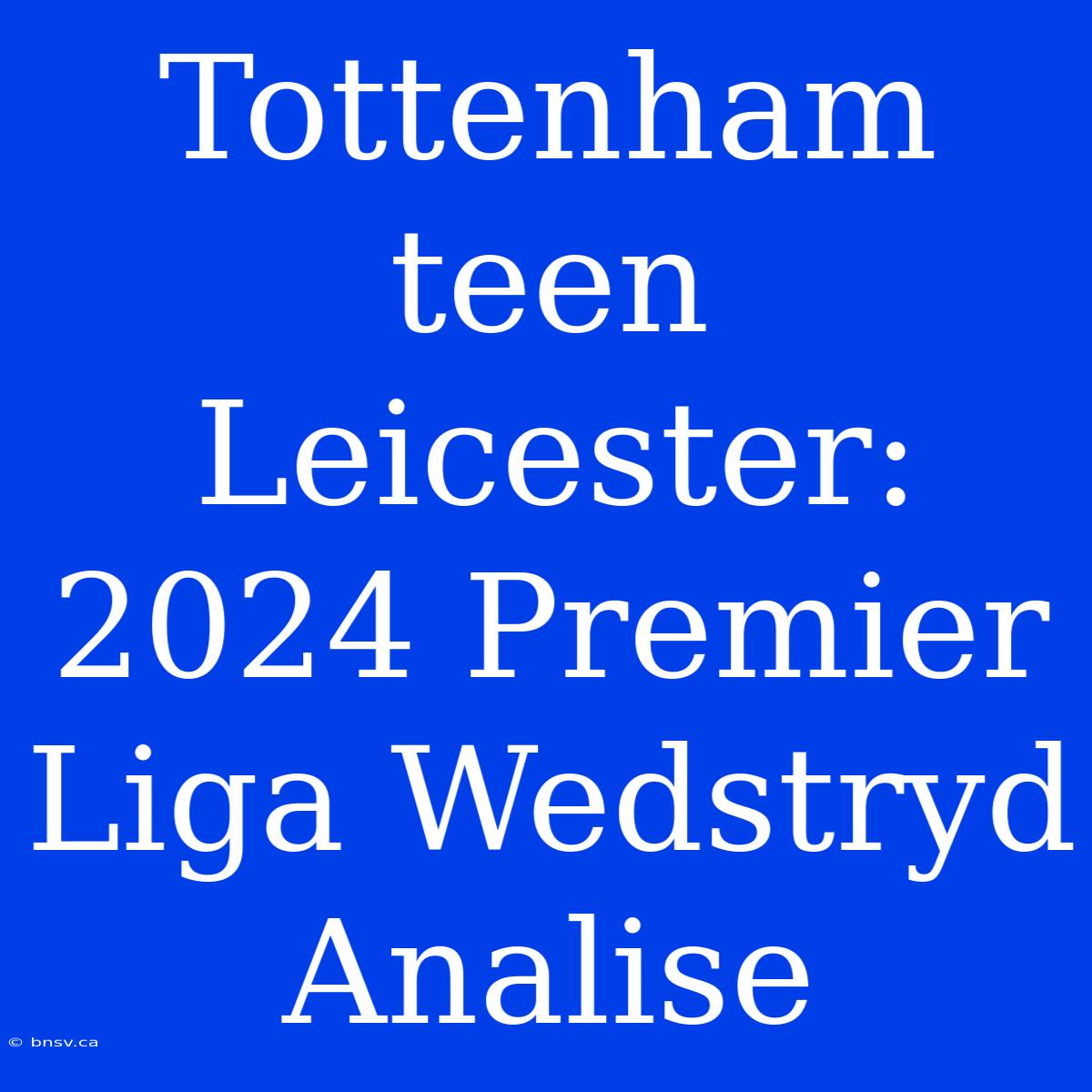 Tottenham Teen Leicester: 2024 Premier Liga Wedstryd Analise