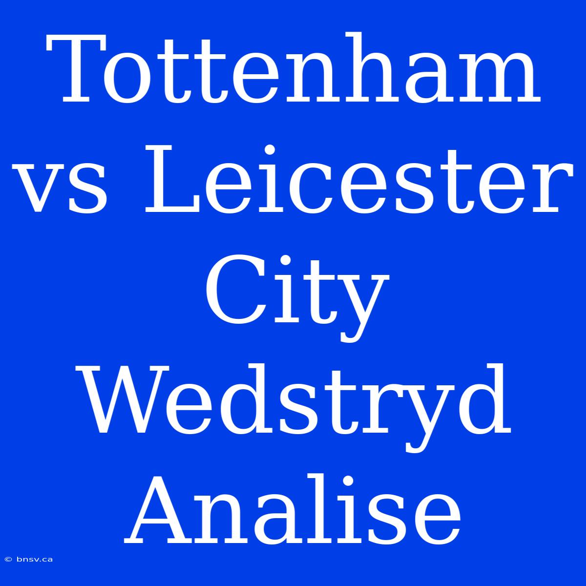 Tottenham Vs Leicester City Wedstryd Analise