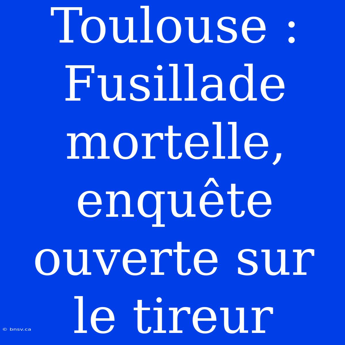 Toulouse : Fusillade Mortelle, Enquête Ouverte Sur Le Tireur