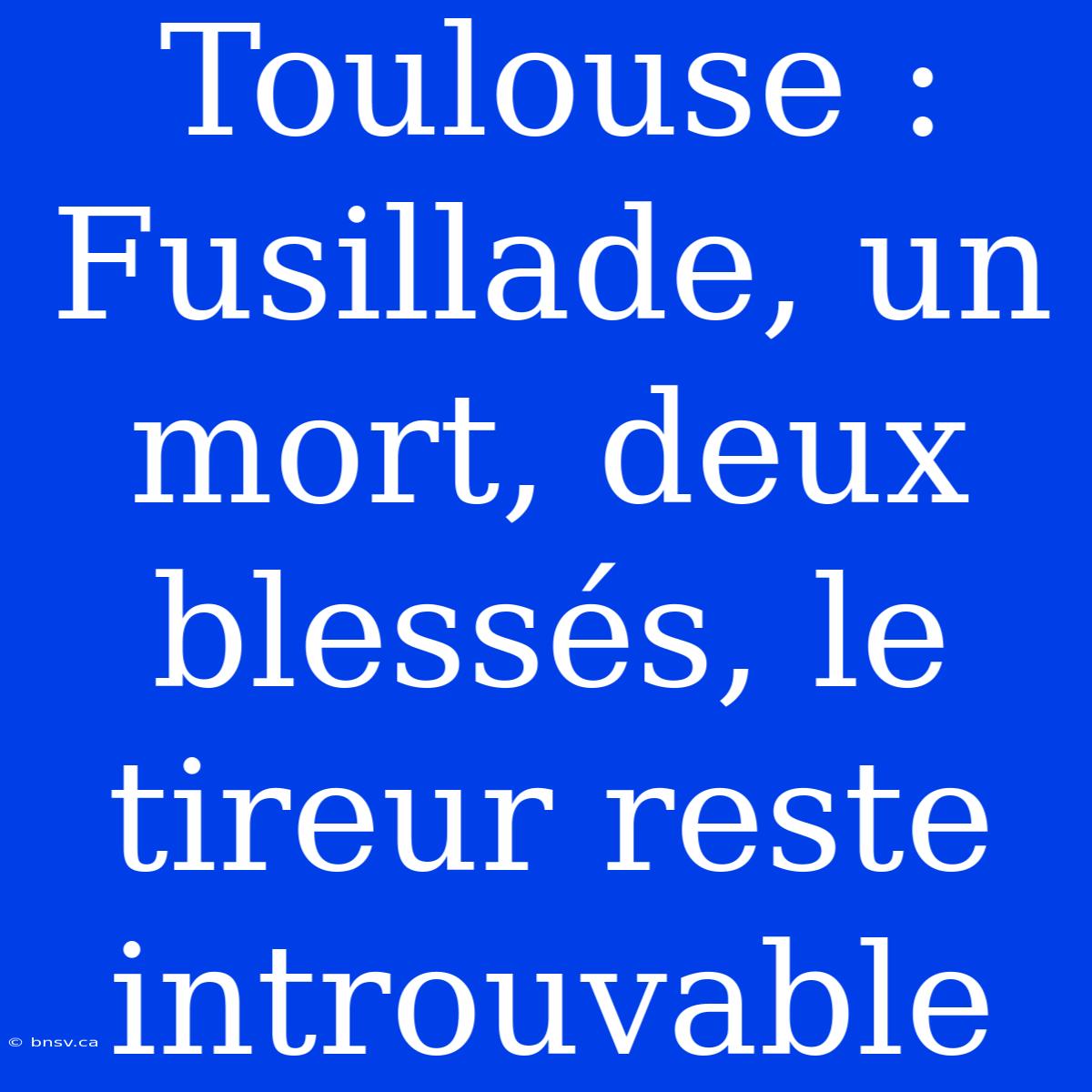 Toulouse : Fusillade, Un Mort, Deux Blessés, Le Tireur Reste Introuvable