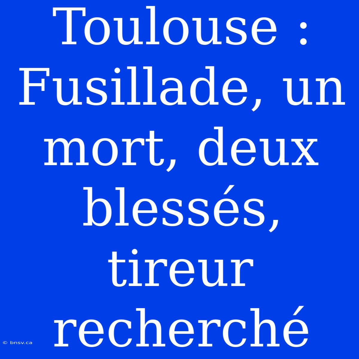 Toulouse : Fusillade, Un Mort, Deux Blessés, Tireur Recherché