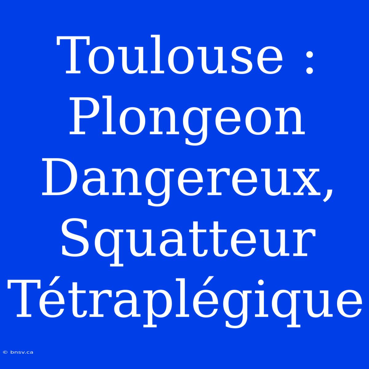 Toulouse : Plongeon Dangereux, Squatteur Tétraplégique