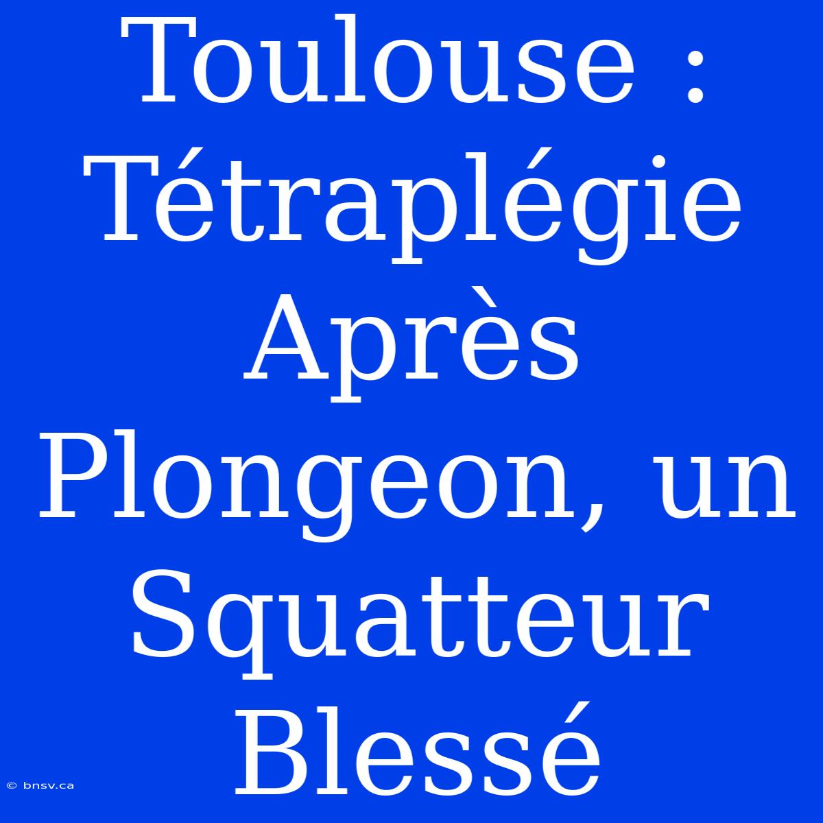 Toulouse : Tétraplégie Après Plongeon, Un Squatteur Blessé