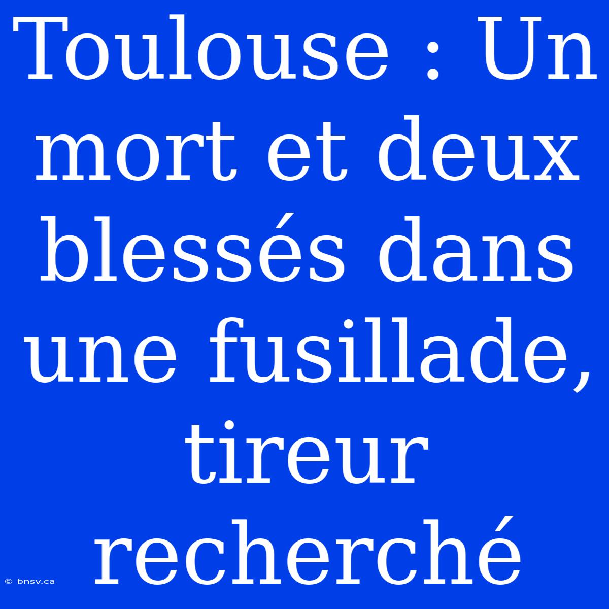 Toulouse : Un Mort Et Deux Blessés Dans Une Fusillade, Tireur Recherché