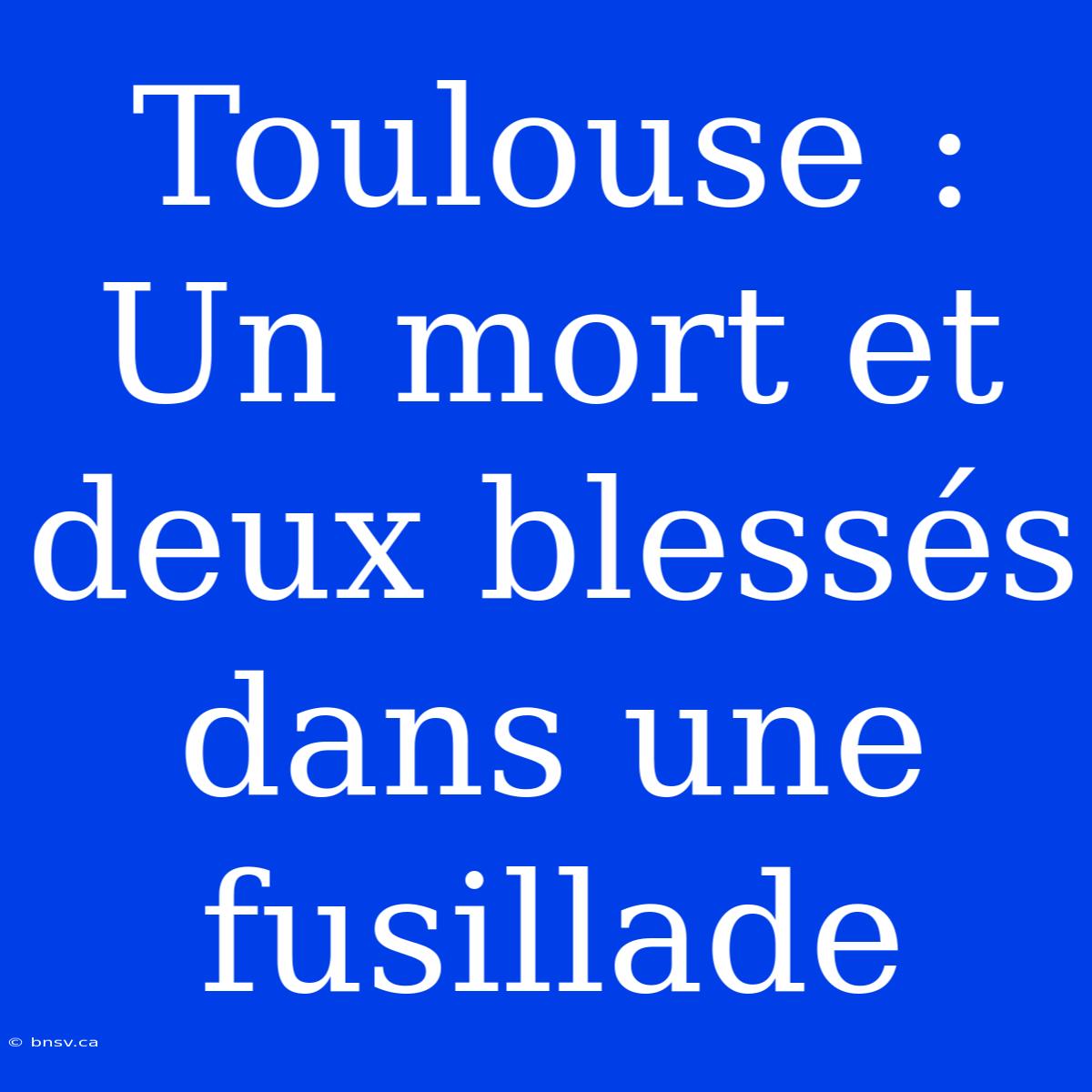 Toulouse : Un Mort Et Deux Blessés Dans Une Fusillade