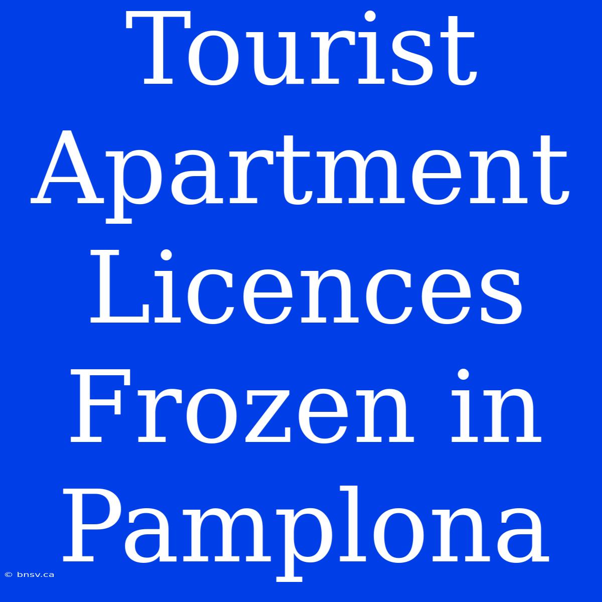 Tourist Apartment Licences Frozen In Pamplona