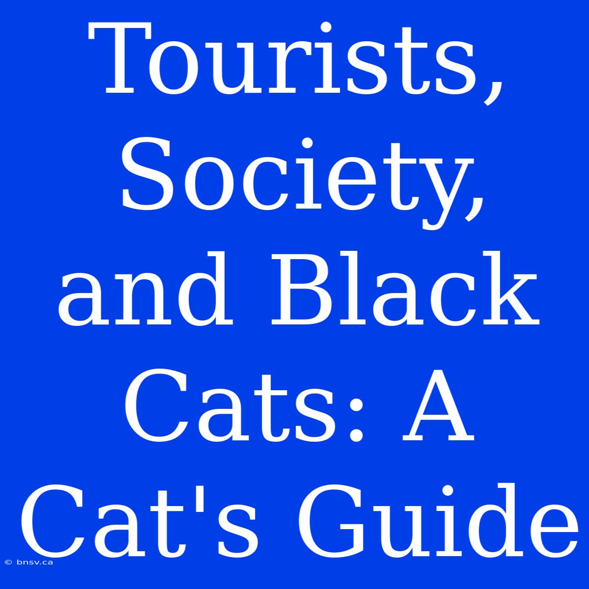 Tourists, Society, And Black Cats: A Cat's Guide