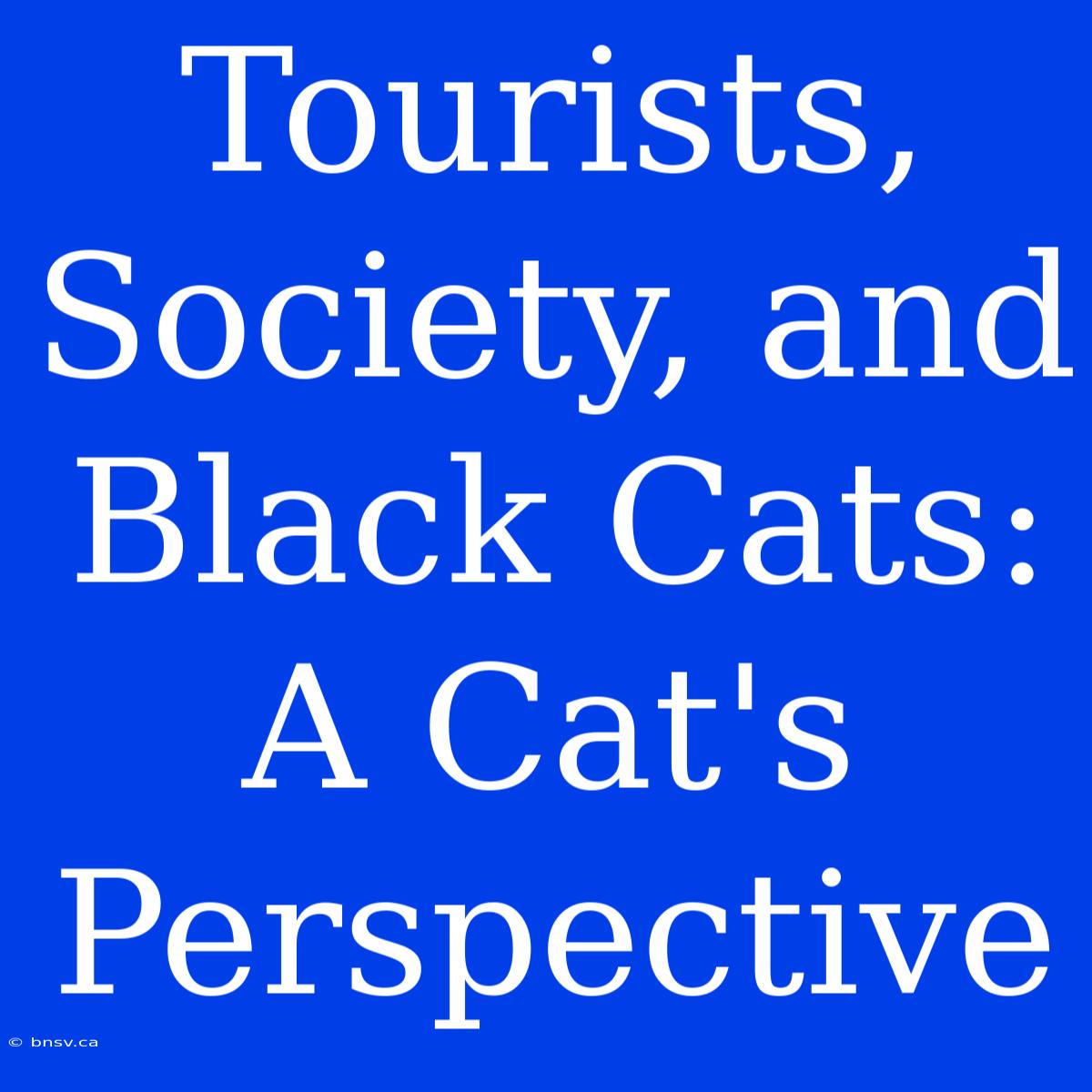 Tourists, Society, And Black Cats: A Cat's Perspective