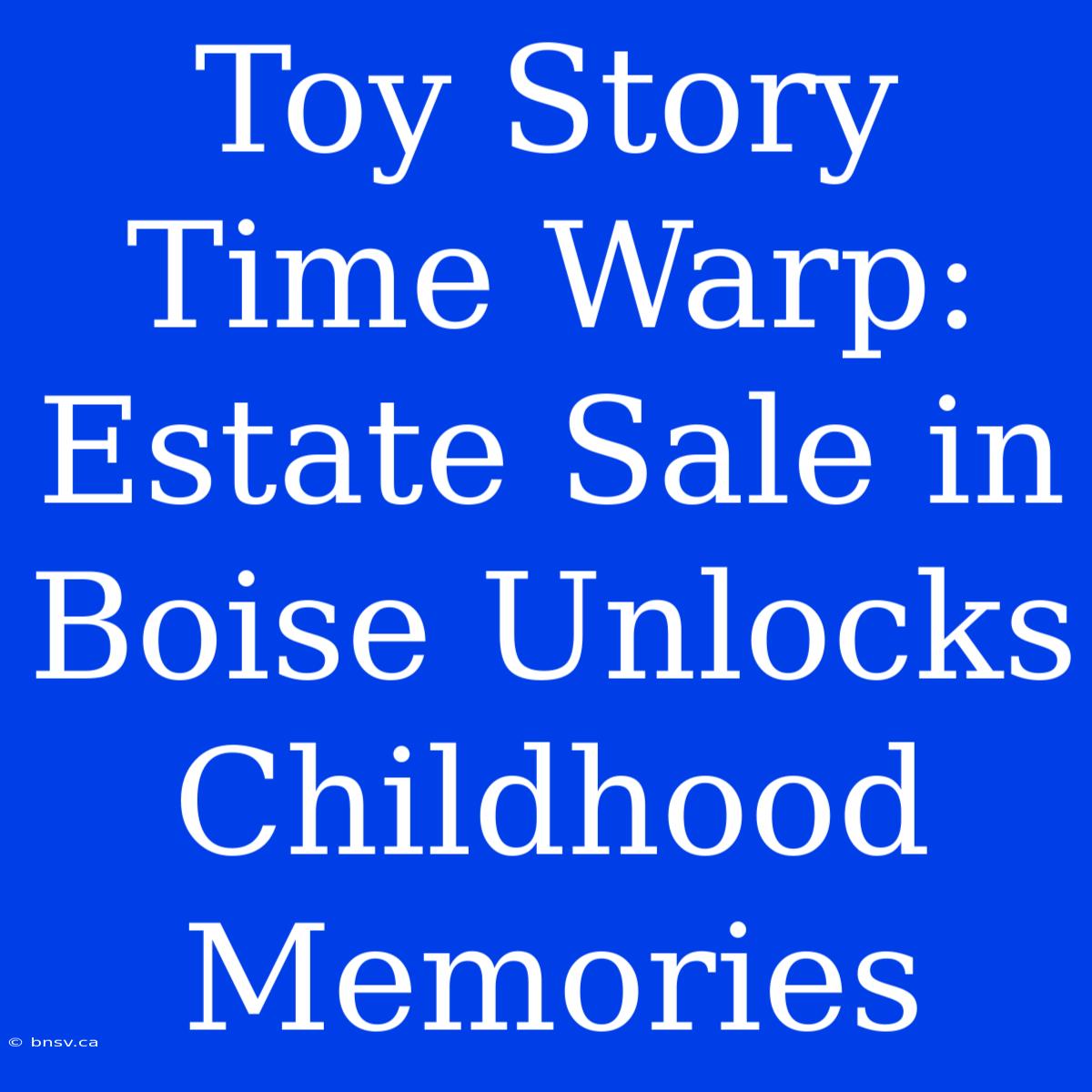 Toy Story Time Warp: Estate Sale In Boise Unlocks Childhood Memories