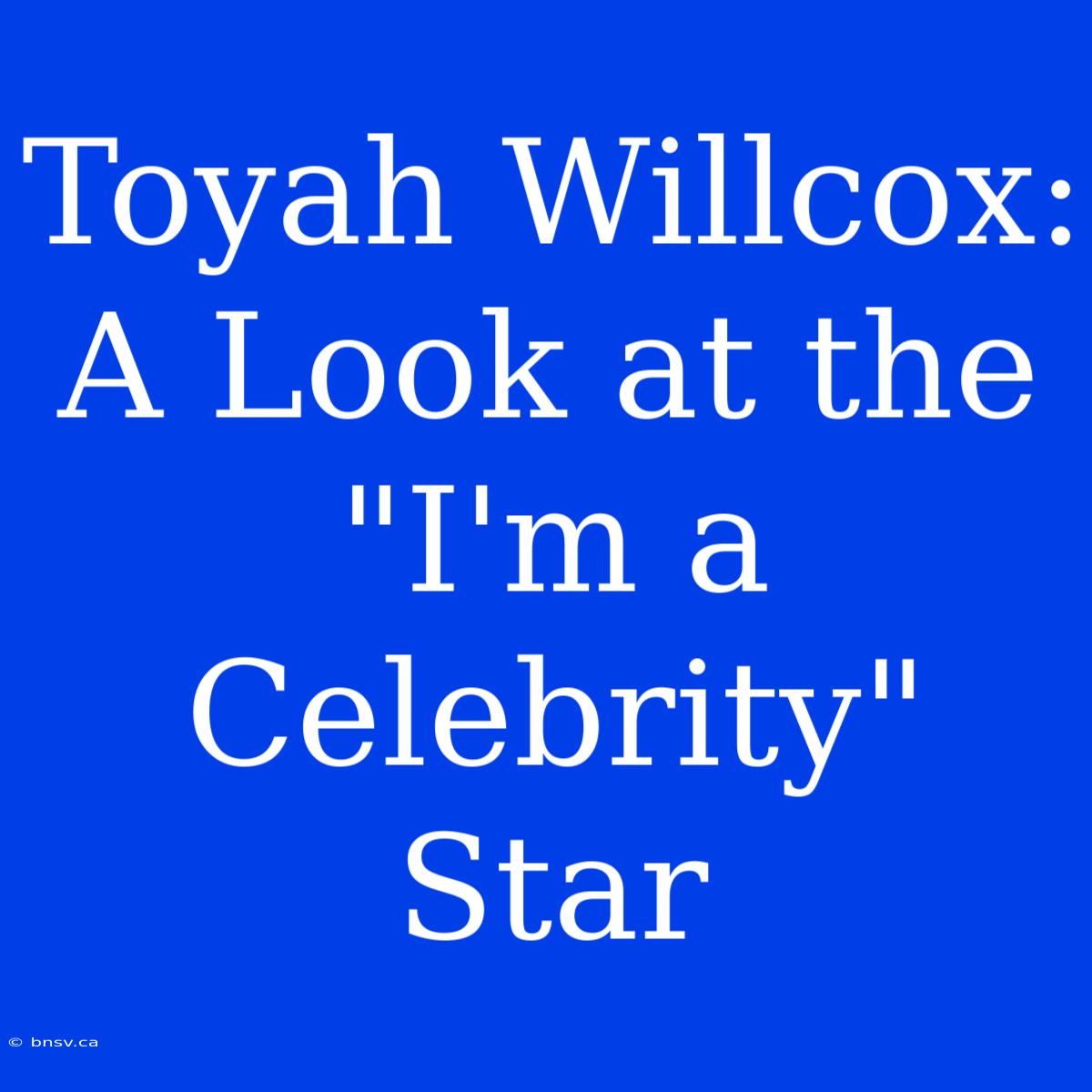 Toyah Willcox: A Look At The 