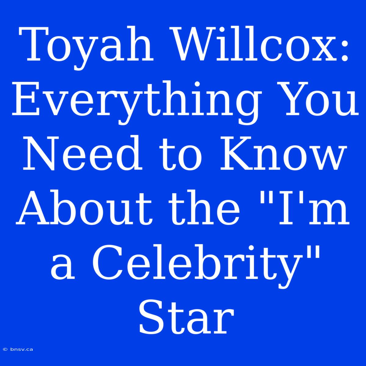 Toyah Willcox: Everything You Need To Know About The 