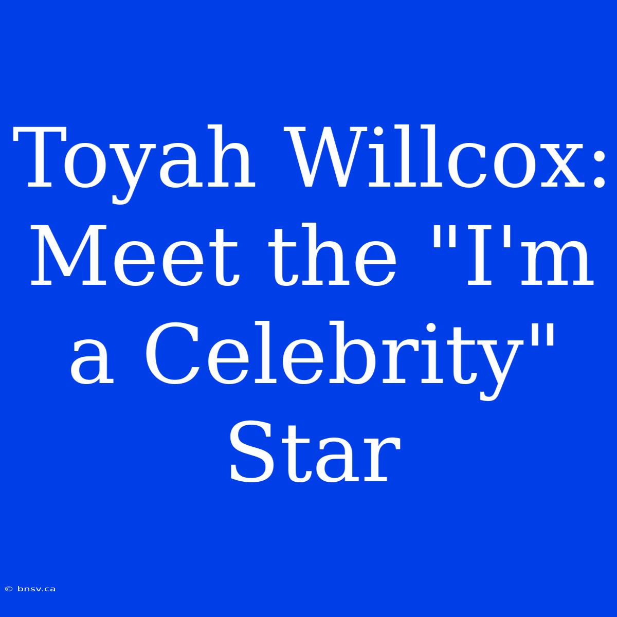 Toyah Willcox: Meet The 