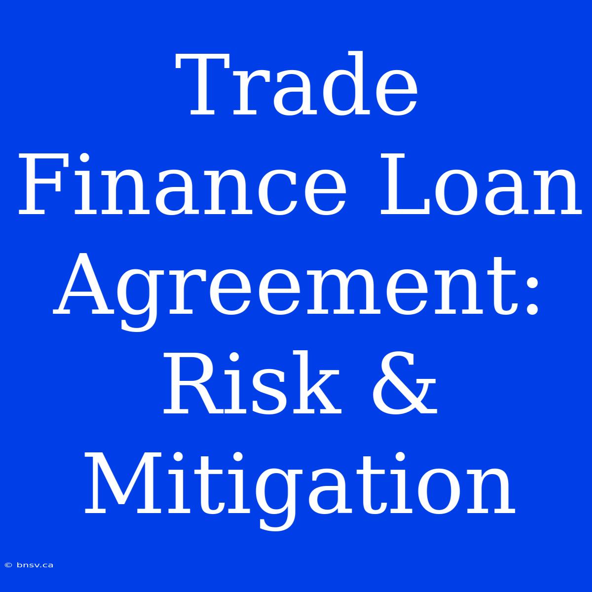 Trade Finance Loan Agreement: Risk & Mitigation