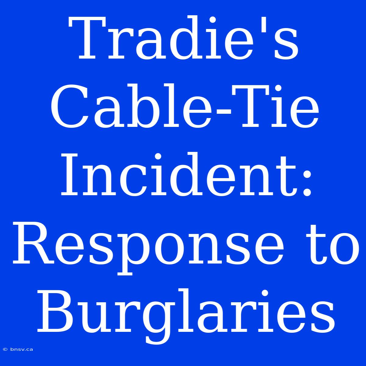 Tradie's Cable-Tie Incident: Response To Burglaries